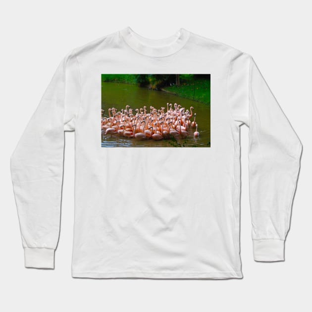 Flaming birds Long Sleeve T-Shirt by Marccelus